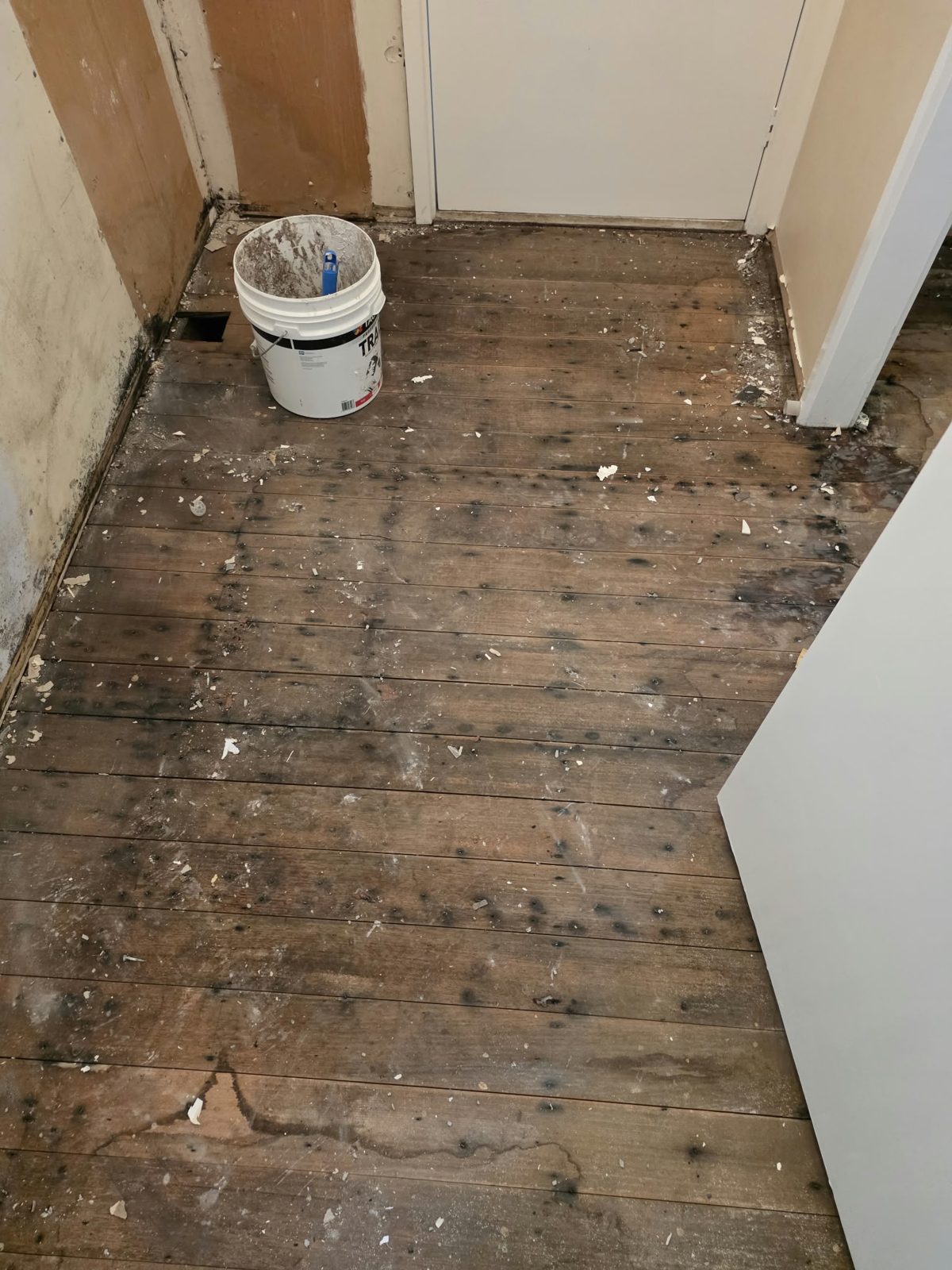 Bare timber floorboards exposed during the Belmont bathroom strip-out, with dust and demolition debris